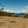 Tasmania - Maria Island o6334